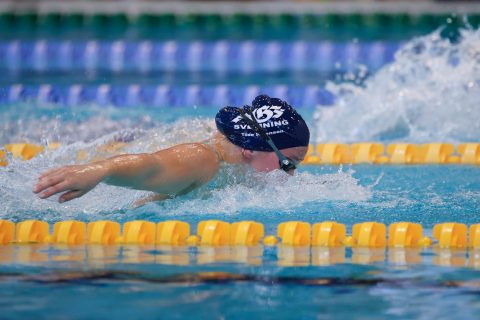 Swimming - Danish Open 2026