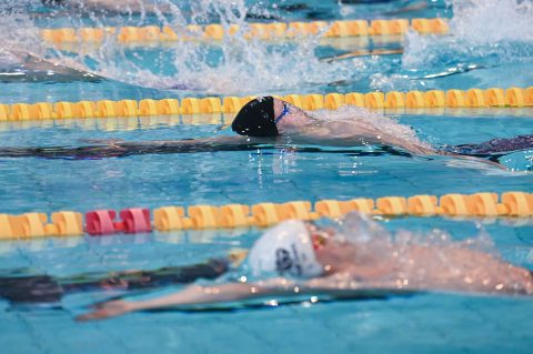 Swimming - Danish Open 2026