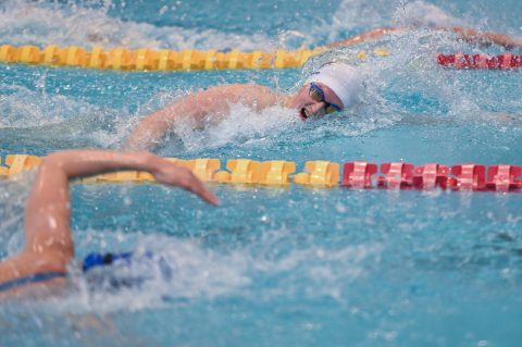 Swimming - Danish Open 2026