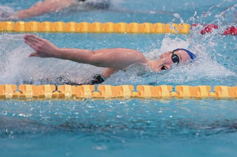 Swimming - Danish Open 2026
