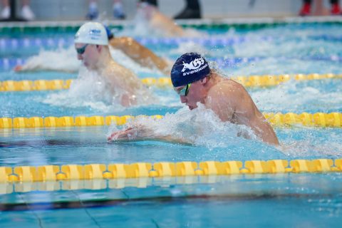 Swimming - Danish Open 2026