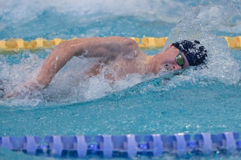 Swimming - Danish Open 2026
