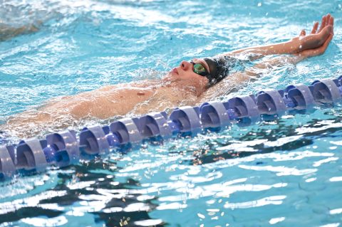 Swimming - Danish Open 2026