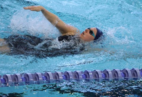 Swimming - Danish Open 2026