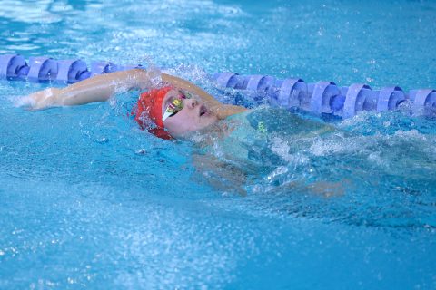 Swimming - Danish Open 2026
