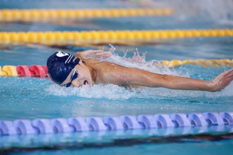 Swimming - Danish Open 2026