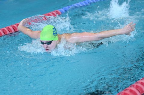 Swimming - Danish Open 2026