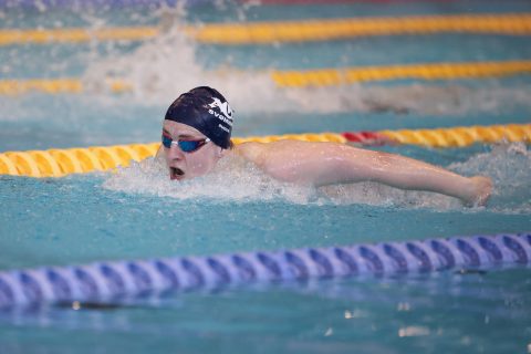 Swimming - Danish Open 2026