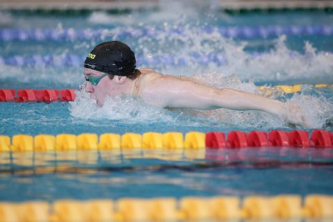 Swimming - Danish Open 2026