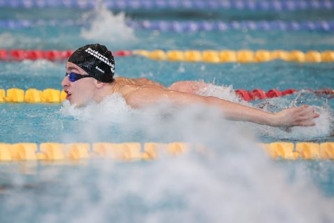 Swimming - Danish Open 2026