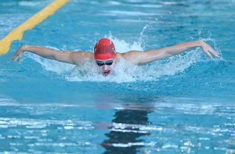 Swimming - Danish Open 2026