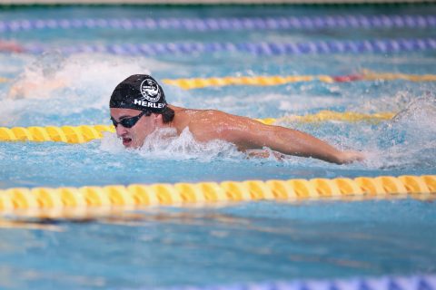 Swimming - Danish Open 2026