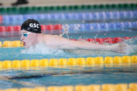Swimming - Danish Open 2026