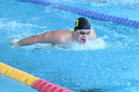 Swimming - Danish Open 2026