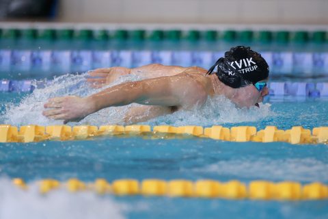 Swimming - Danish Open 2026