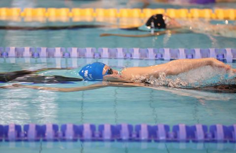 Swimming - Danish Open 2026