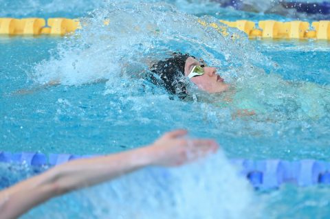 Swimming - Danish Open 2026