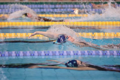 Swimming - Danish Open 2026