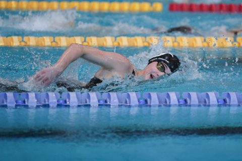 Swimming - Danish Open 2026