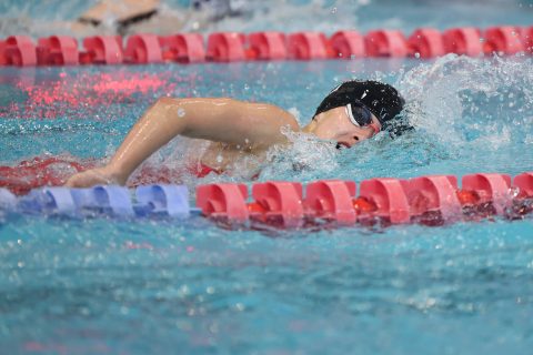 Swimming - Danish Open 2026