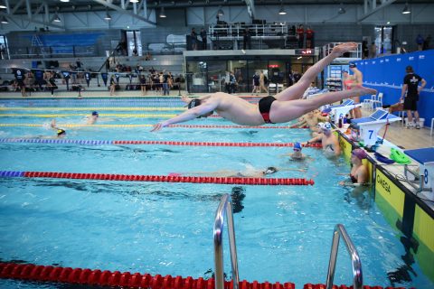 Swimming - Danish Open 2026