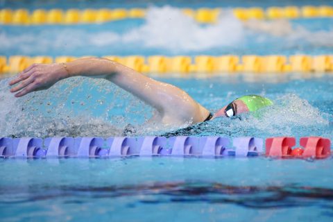 Swimming - Danish Open 2026