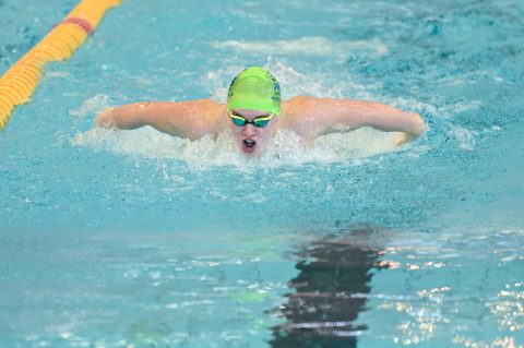 Swimming - Danish Open 2026