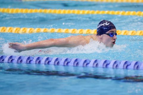 Swimming - Danish Open 2026