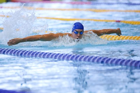 Swimming - Danish Open 2026