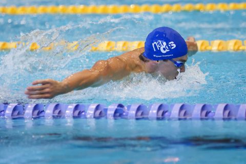 Swimming - Danish Open 2026