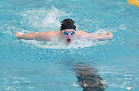 Swimming - Danish Open 2026