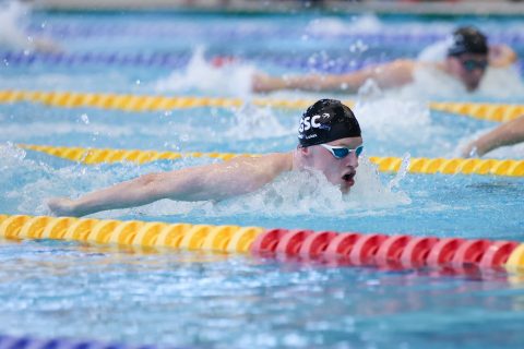 Swimming - Danish Open 2026