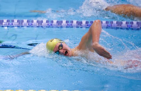 Swimming - Danish Open 2026