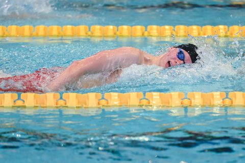Swimming - Danish Open 2026