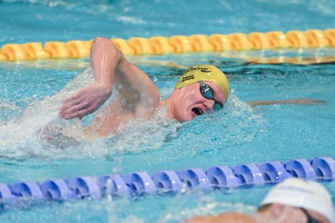 Swimming - Danish Open 2026