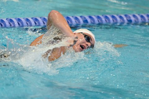 Swimming - Danish Open 2026