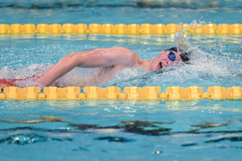 Swimming - Danish Open 2026