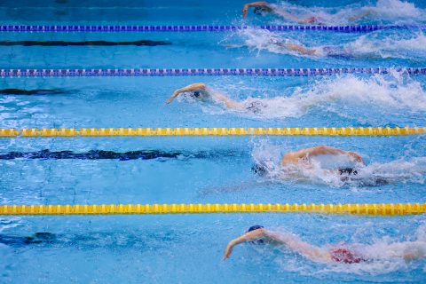 Swimming - Danish Open 2026