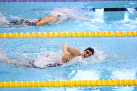 Swimming - Danish Open 2026