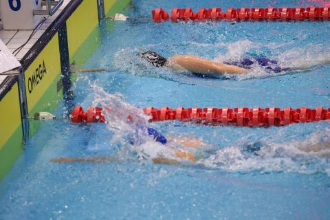 Swimming - Danish Open 2026