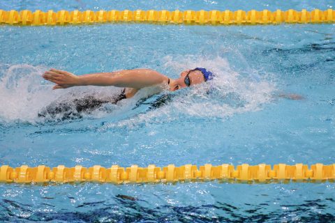 Swimming - Danish Open 2026