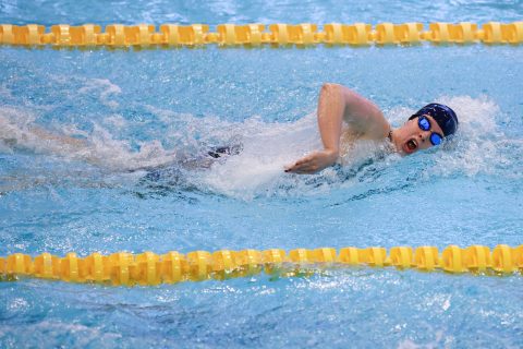 Swimming - Danish Open 2026