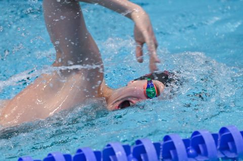 Swimming - Danish Open 2026