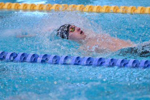 Swimming - Danish Open 2026