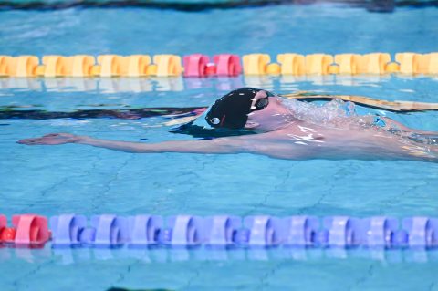 Swimming - Danish Open 2026