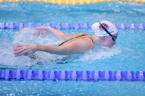 Swimming - Danish Open 2026