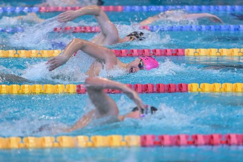 Swimming - Danish Open 2026
