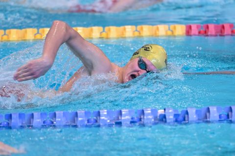 Swimming - Danish Open 2026