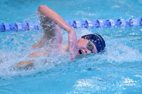 Swimming - Danish Open 2026