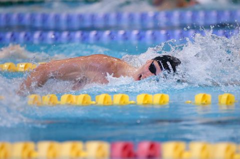 Swimming - Danish Open 2026